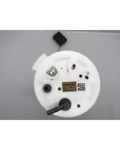 Ford OEM FP53 9H307 NA Fuel Pump